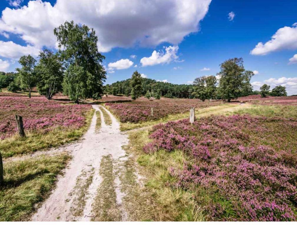 Feelslikehome - Reihenhaus Zwischen Hamburg Und Heide Mit Garten&Garage Neu Wulmstorf Esterno foto