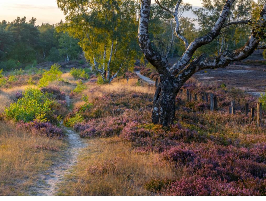 Feelslikehome - Reihenhaus Zwischen Hamburg Und Heide Mit Garten&Garage Neu Wulmstorf Esterno foto